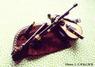 Scottish Small-pipes en Do